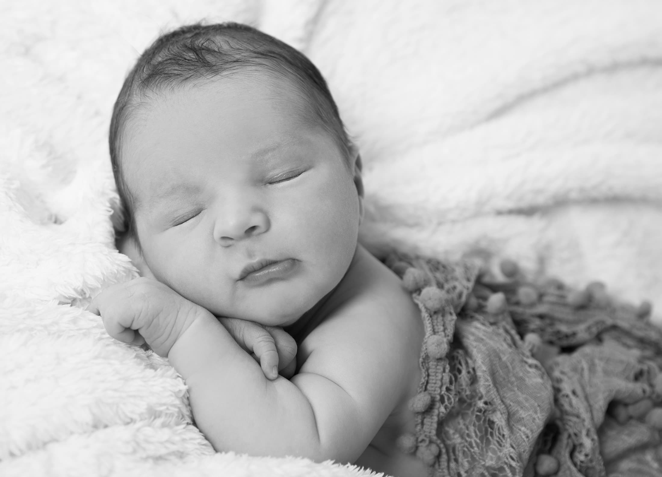 Fotostudio, Fotoshooting